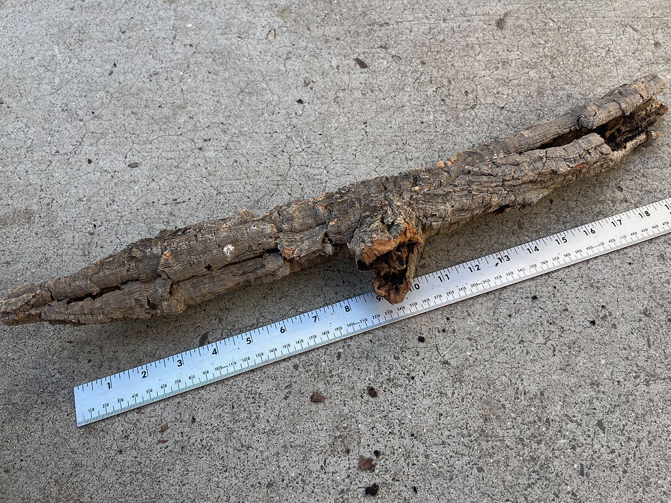 Thumbnail: 23" Cork Bark Tube #155