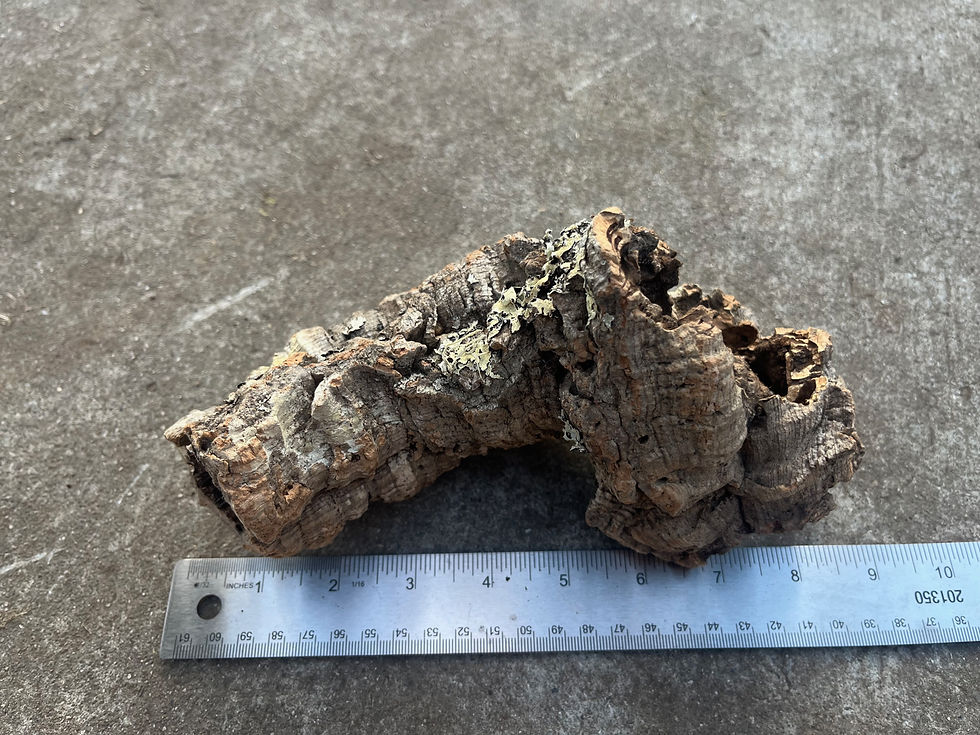 Thumbnail: 7.5" Cork Bark Tube #113