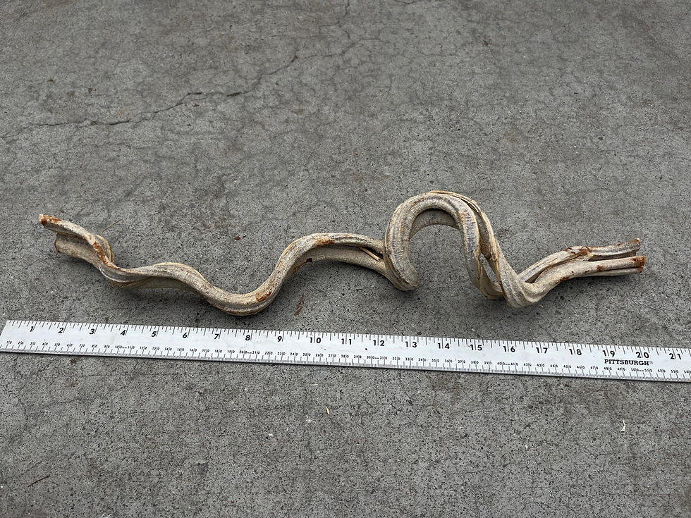Thumbnail: 20" Twisty Wood #18