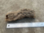 Thumbnail: 8" Cork Bark Tube #120