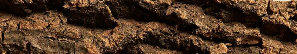 Cork Bark Flat