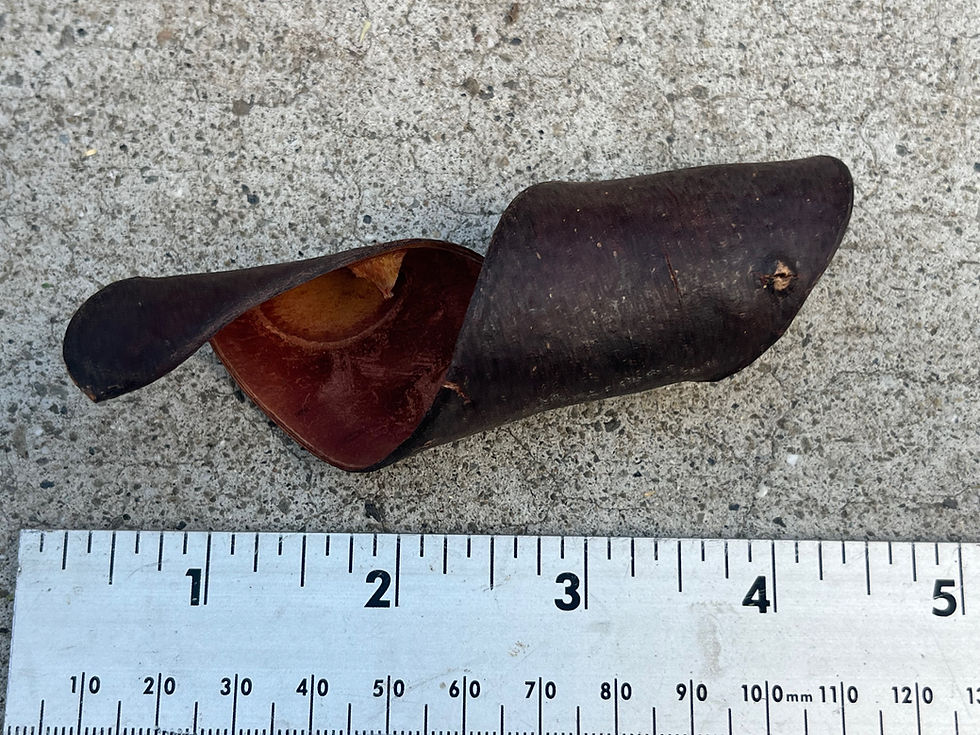Thumbnail: Twisty Seed Pod