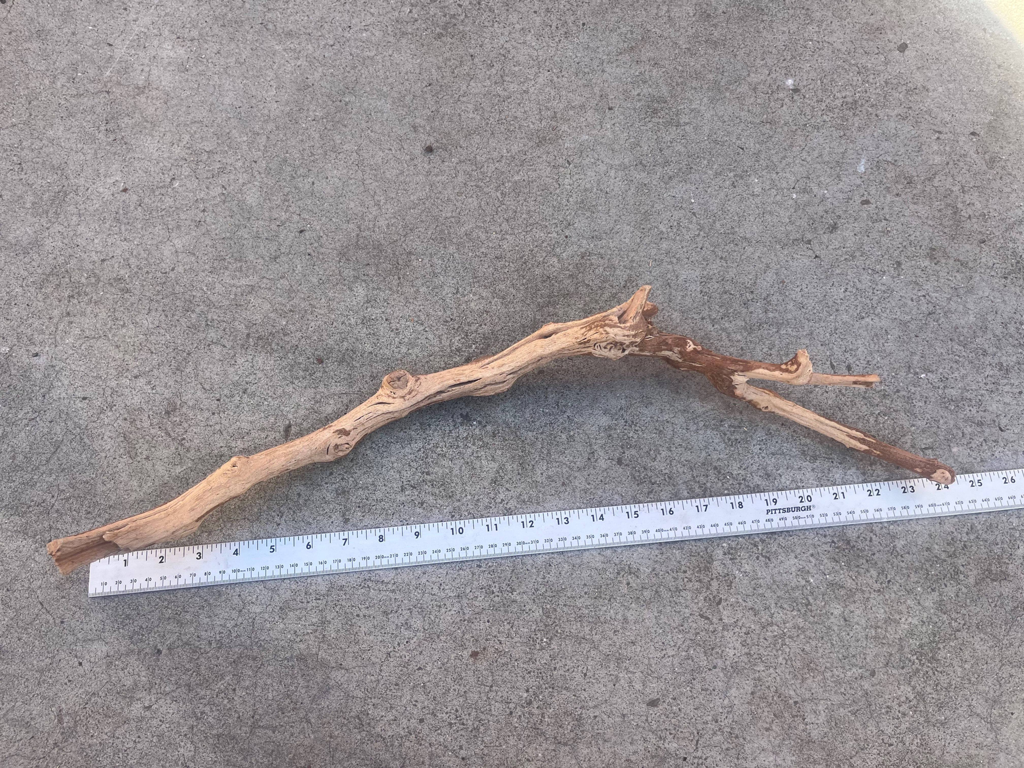 21" Grape Wood Branch #50