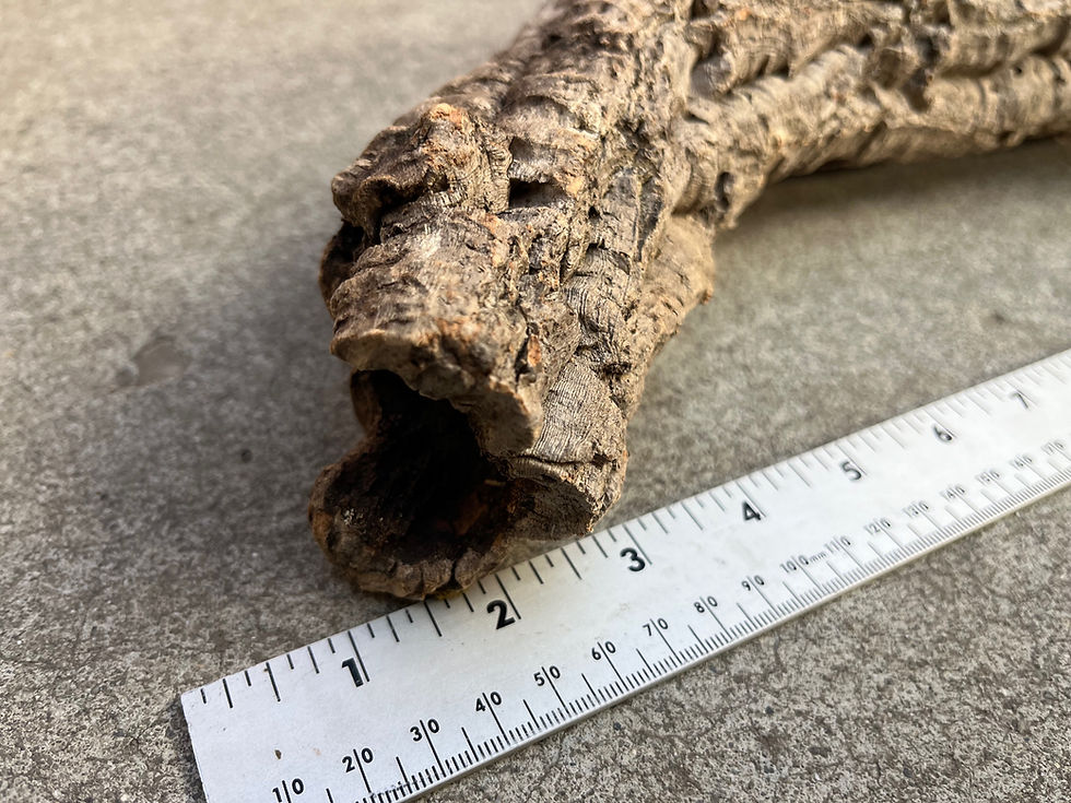Thumbnail: 13.5" Cork Bark Tube #145