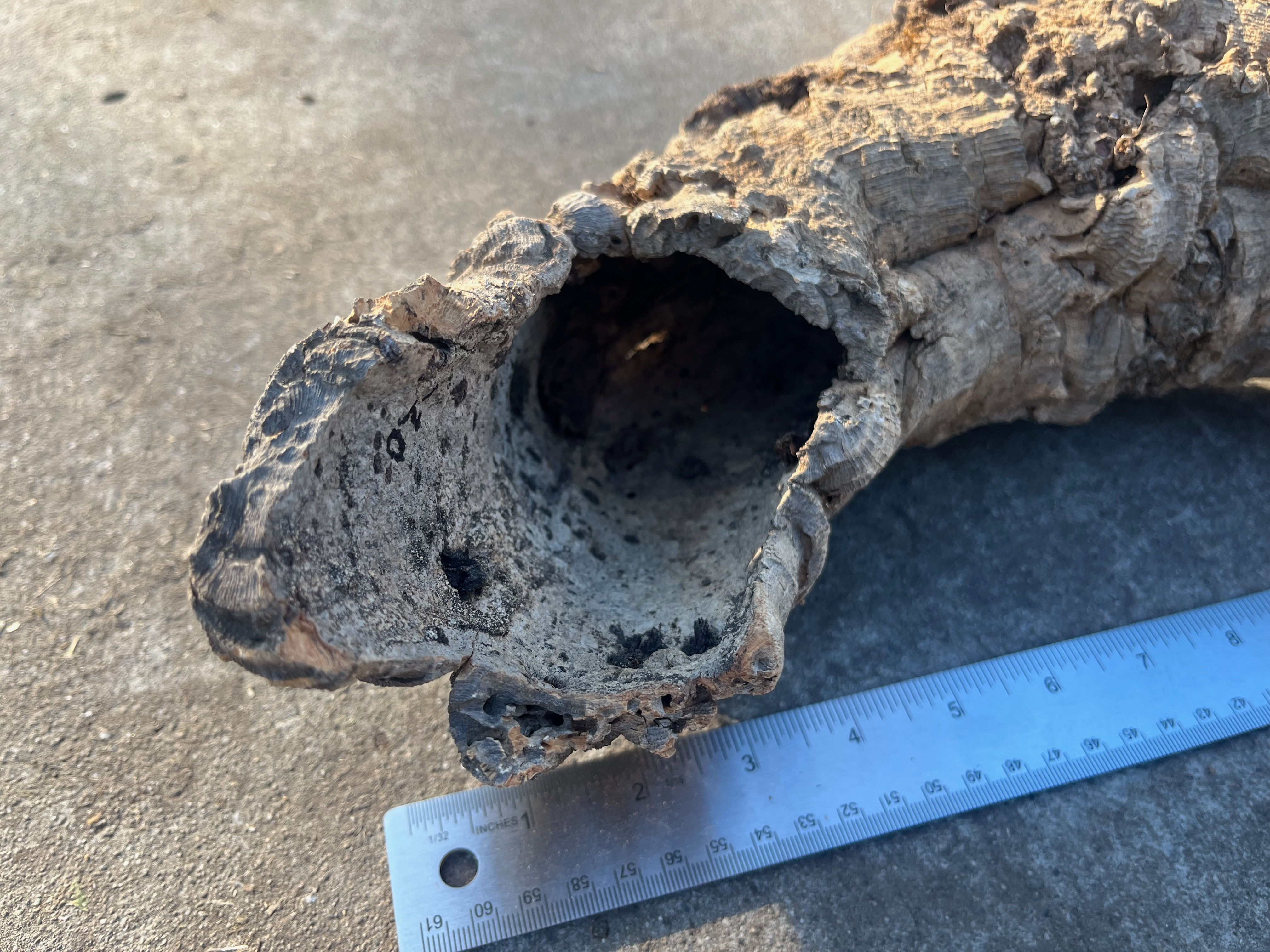 14" Cork Bark Tube #75