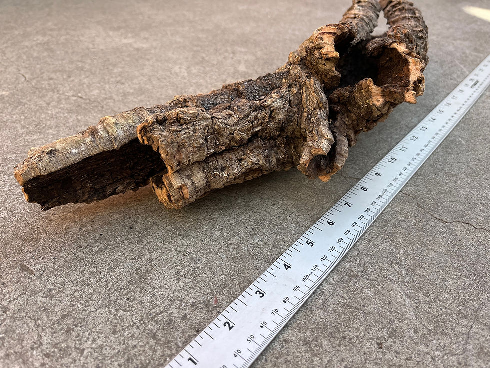 Thumbnail: 22" Cork Bark Tube #126