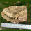 Thumbnail: Virgin Cork Oak Bark- Small