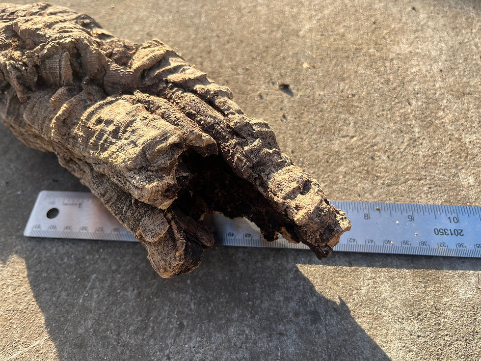 Thumbnail: 11.5" Cork Bark Tube #84