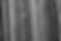 Fond_Bois_PNG.png