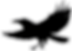 crow fly.png