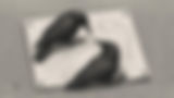 escher crows (1).jpg