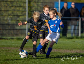 Nieuw Roden jo8- Marum Jo8