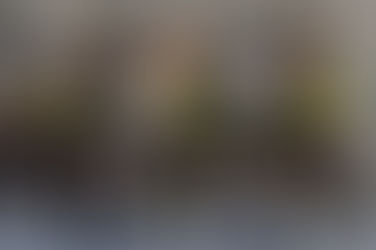 Leekster Voetbal Gala avond