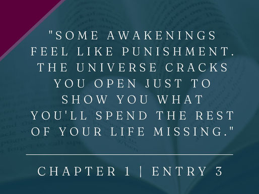 Chapter 1 | Entry Three
