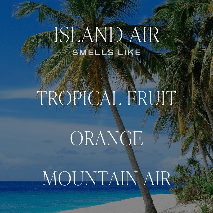 Thumbnail: Island Air - 9 oz Candle