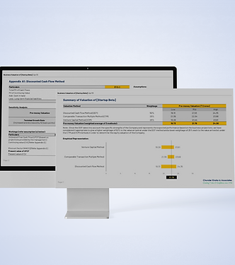desktop screen mockup.png