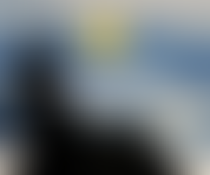 Bravery: Leading with Courage and Purpose