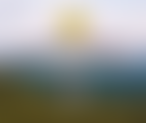 The Architecture of Leadership