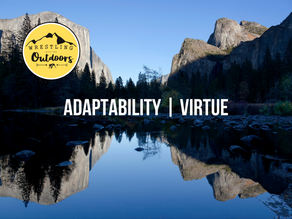 Adaptability | Virtue