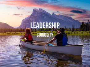 Curiosity | Leadership