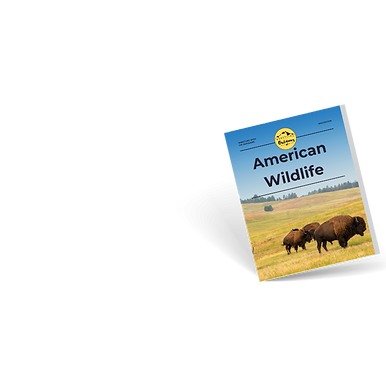 Ebook cover 10.png