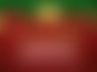 Embrace the Holiday Shift: Cultivate Self-Directed Priorities and Presence