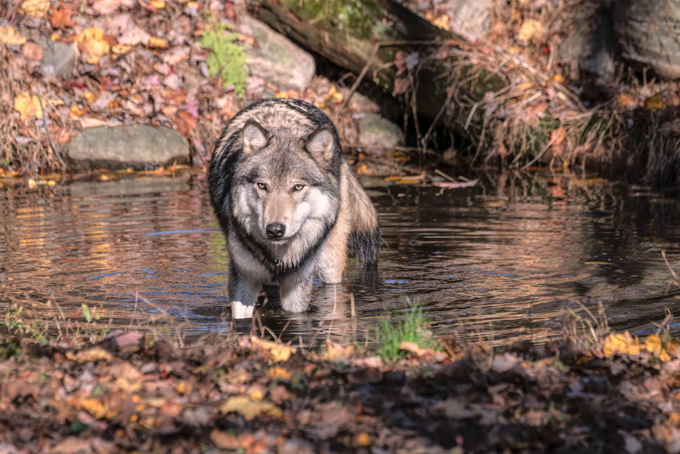 20191101 - untitled shoot _8509136-Edit