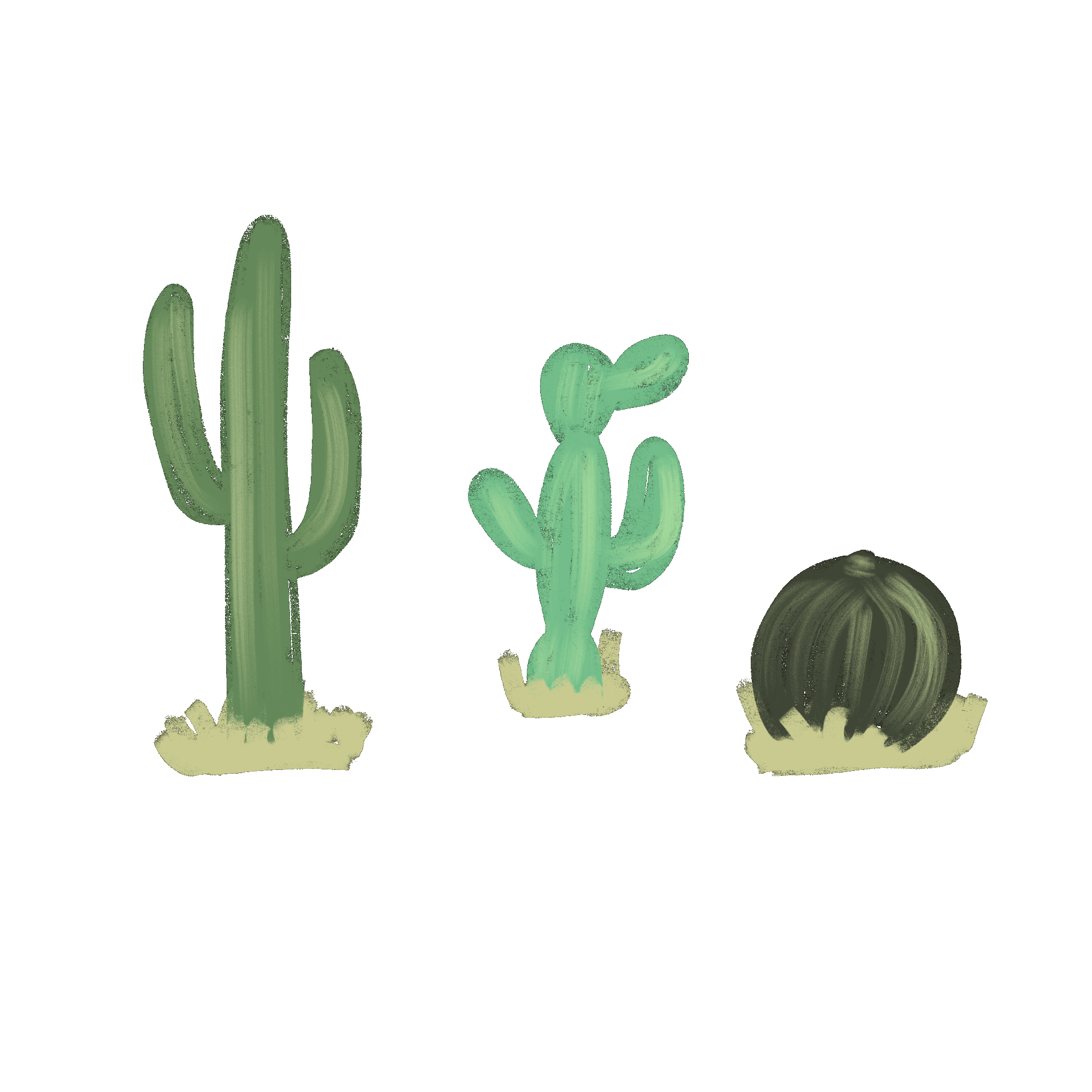 Cactus_Flower_Blooming_Animation.gif