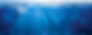 banner-bg.png