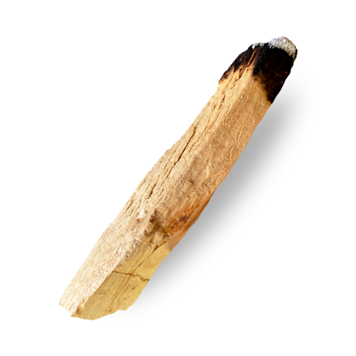 palo santo.png