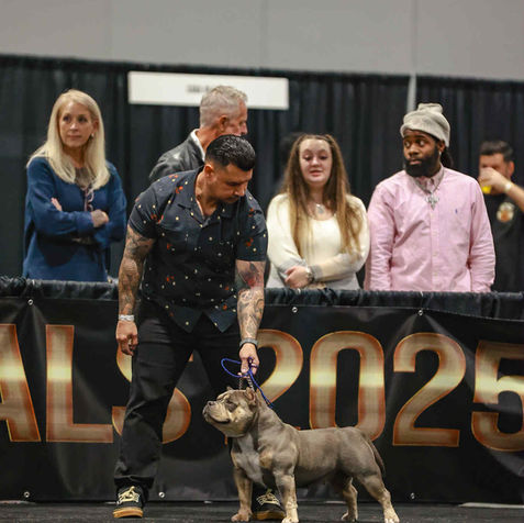 dog show winner