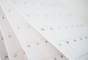 Calendar Pages_edited.jpg