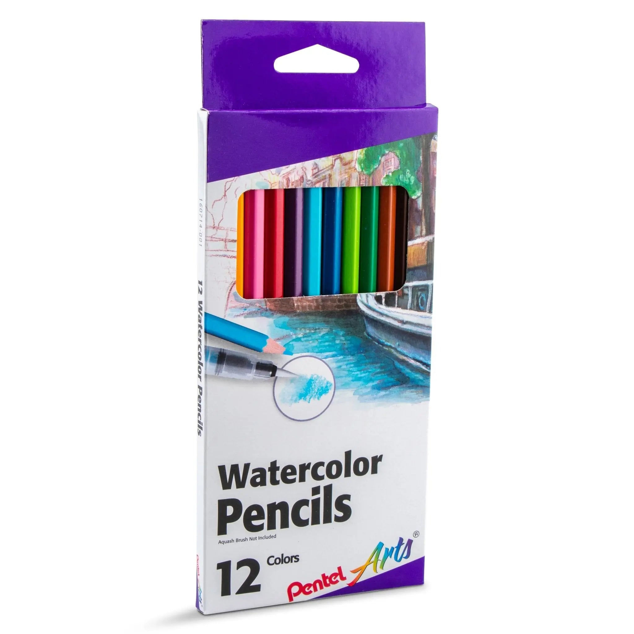 Set of 12 assorted vibrant watercolor pencils in a box, featuring high-quality art supplies ideal for creative drawing and watercolor effects.