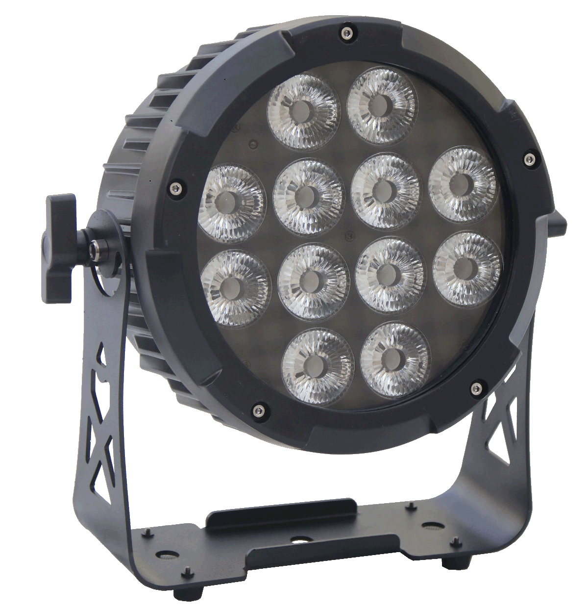 LED PAR RGBW AUV 12*15W