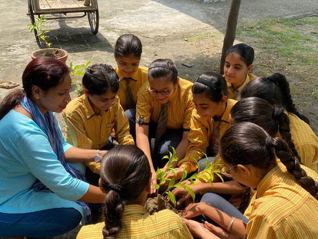 Tree Plantation Activity