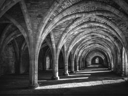 The Cloisters - Fountains Abbey, North Yorkshire