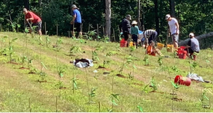 Bamboo Farm in  Georgia