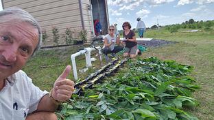 Bamboo Farm in Fellsmere, FL