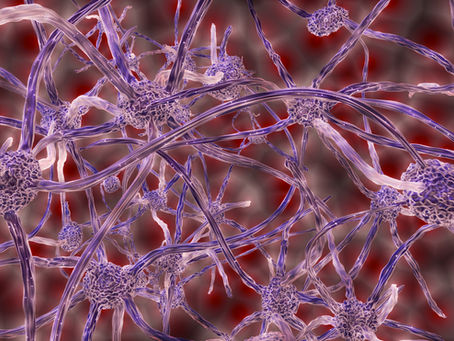 Are Fibromyalgia and ADHD Linked?