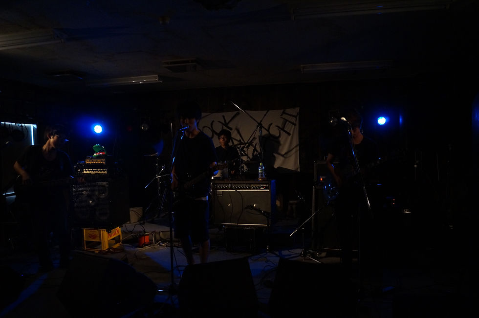 DSC02381.JPG