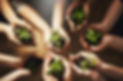 AdobeStock_785978877.jpeg