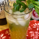 Jetsetter Mexican Mule