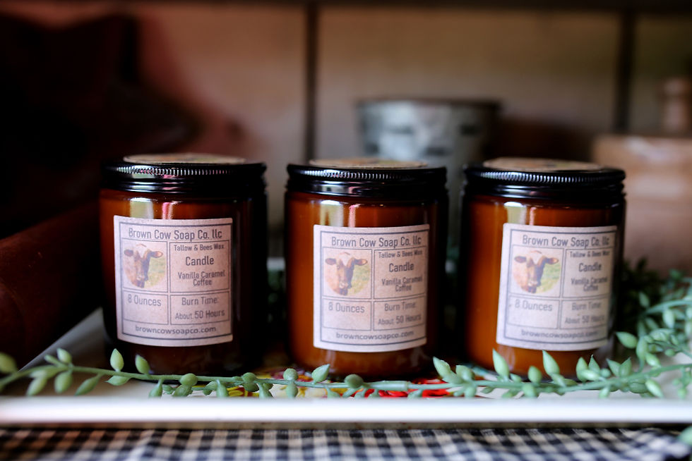 three brown cow soap company tallow and beeswax candles in a row