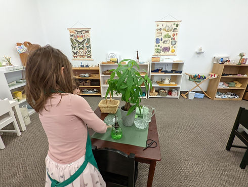 Casa Montessori Money Tree.jpg