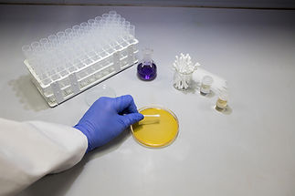 BioSweep UK Verification and Results Mould Remediation.jpg
