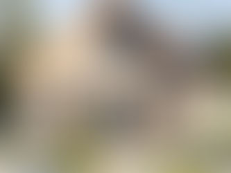 Katero premoženje je izvzeto iz stečajne mase in ga dolžnik lahko obdrži?