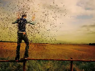 Duas Graves Lições