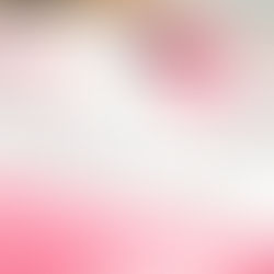 Progamme 2025 : les livrets sont disponibles