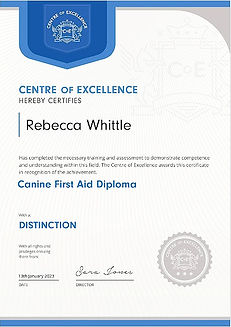 fist aid certificate_edited.jpg