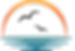 Asset 1_3x_edited.png